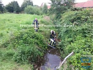 2016-07-31_gew_sserverunreinigung_schulstrasse_01